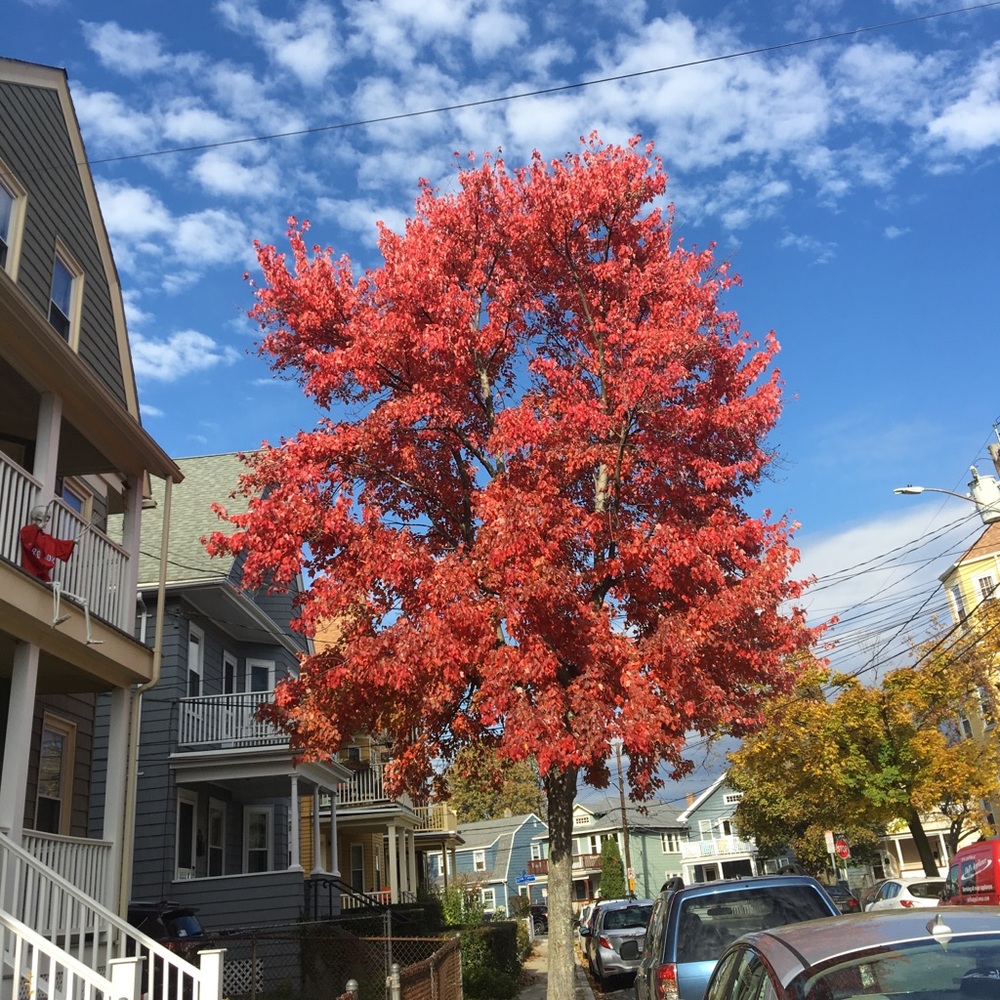 Meet your Posher, Ariel